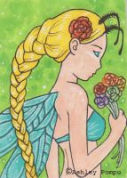 Springtime Promises